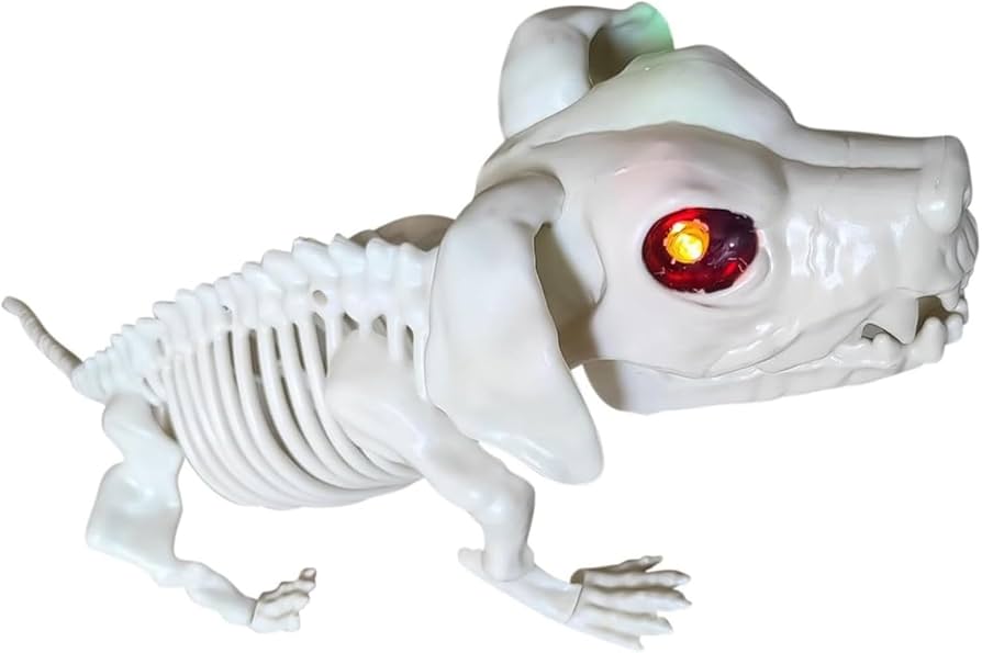 Amazon.co.jp: ポーズ可能なスケルトン犬-ハロウィーンの装飾